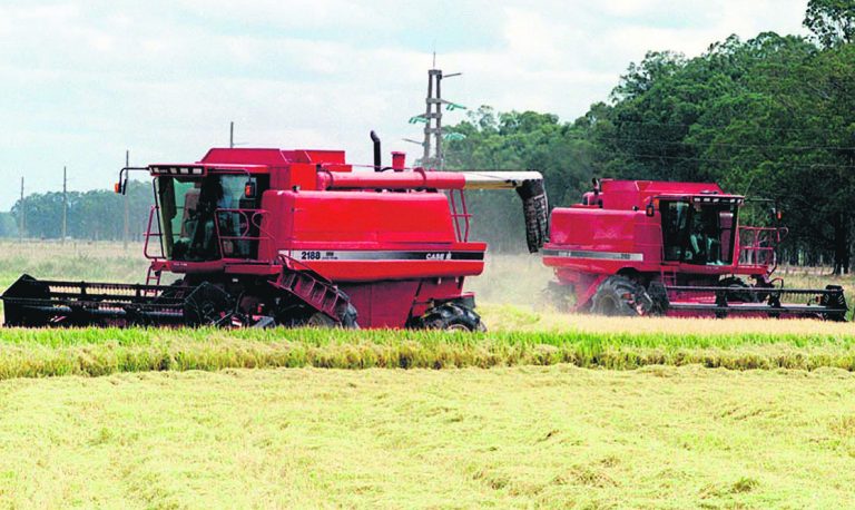 Baja en tarifa de UTE para riego “no soluciona” problema de arroceros