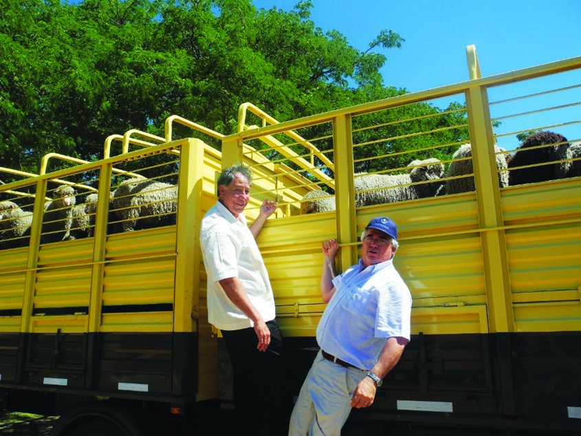 Y un día entró la carne ovina con hueso