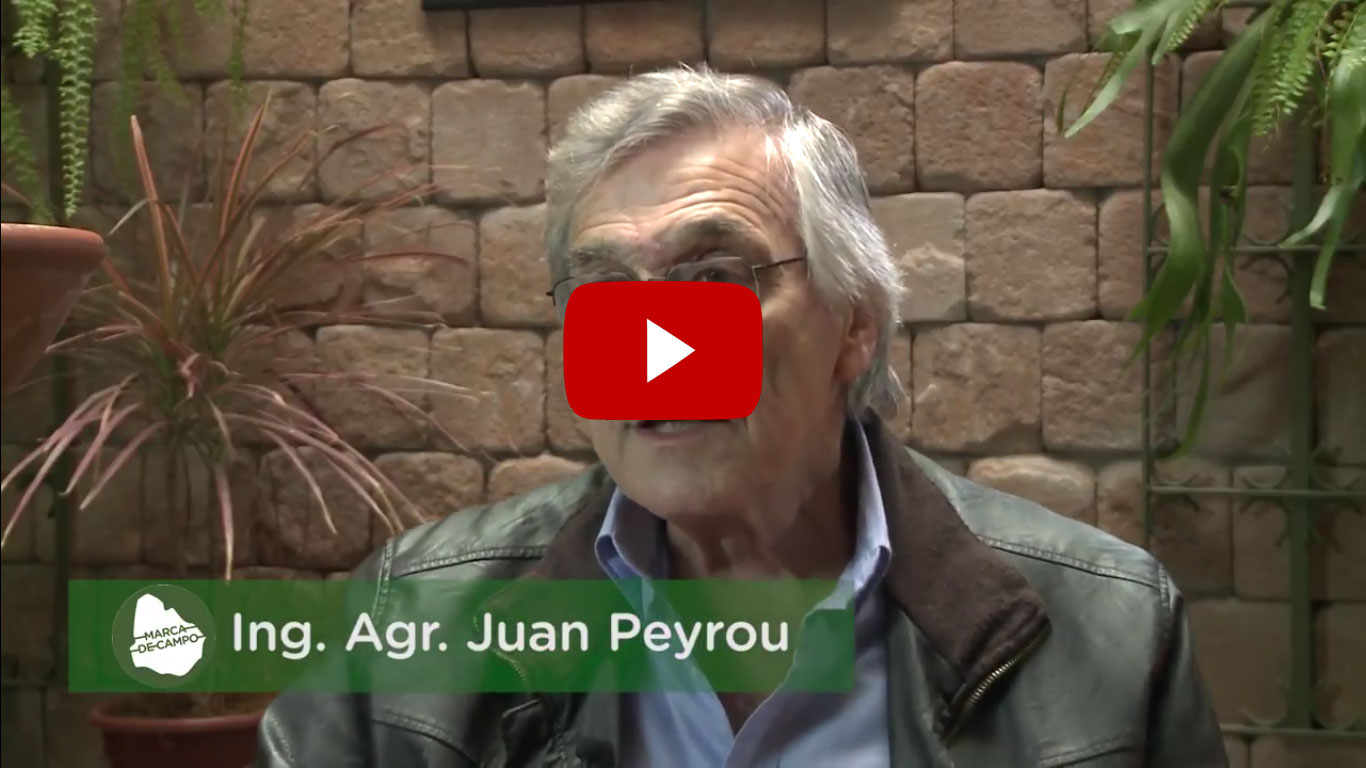 Entrevista al Ing. Juan Peyrou