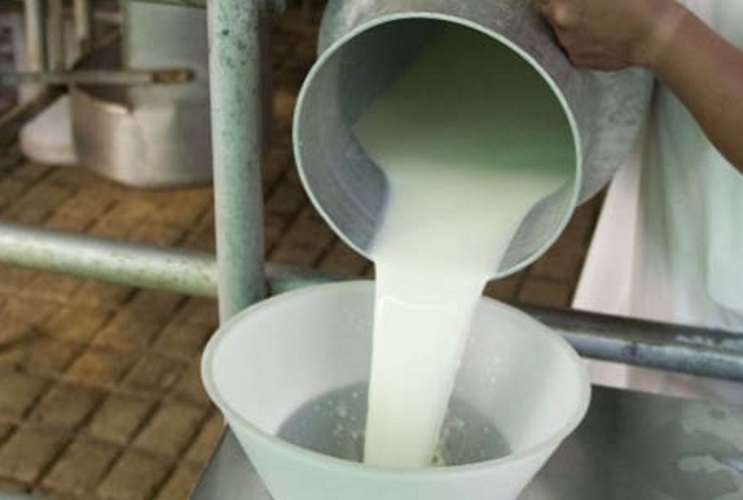 Importaciones brasileñas de lácteos se desplomaron 46% en agosto