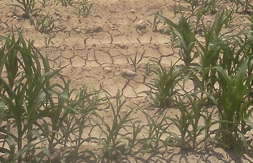 La compactación de suelos existe, pero solo debe ser tratada donde ocurre