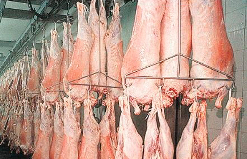 Preparan envío de carne ovina con hueso a EE.UU.