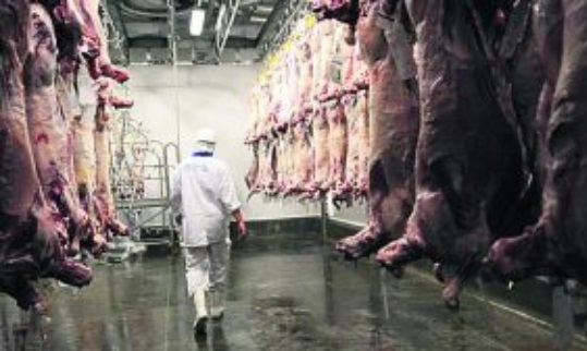 Finalizó misión de Japón al complejo cárnico uruguayo