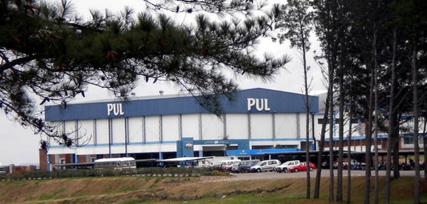 Por altos precios de ganados, Frigorífico PUL suspendió faena