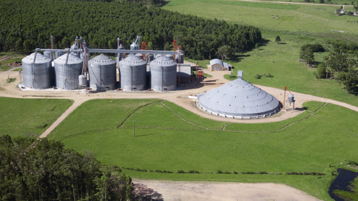 La arrocera SAMAN confirmó cierre de planta en Río Branco