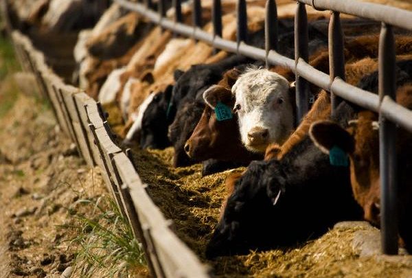 Propuesta de la Unión Europea a Estados Unidos por 481