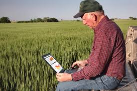 08.10.2018 Nos ponemos al día con la realidad de los mercados agropecuarios y ganaderos.