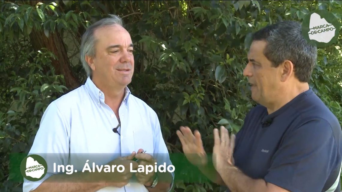 22.10.2018 Lapido «El actual conflicto de CONAPROLE se origina cuando la mayoría del directorio claudicó ante dos funcionarios que robaron y a sugerencia de Mujica los reincorporaron a la plantilla».