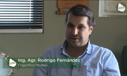 10.10.2018 Rodrigo Fernández explica en detalle el remate de Angus de mañana jueves en Durazno.