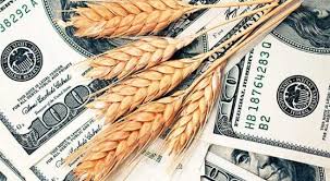 15.10.2018 Síntesis de los mercados agropecuarios.