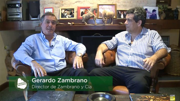 12.12.2018 Zambrano opina que no hay que adelantarse a pronosticar reducciones de faenas fuertes en 2019.