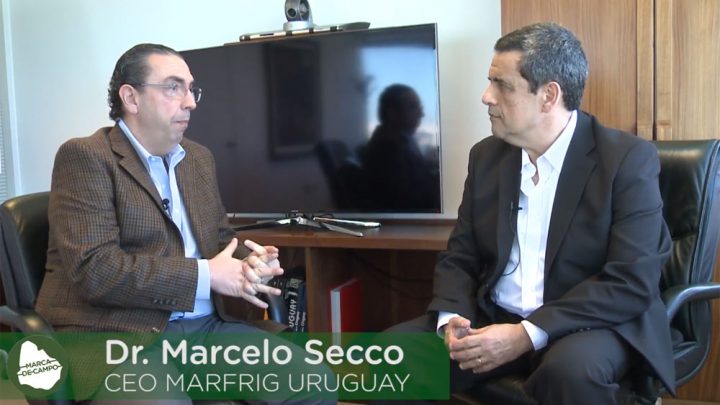 07.12.2018 Marcelo Secco opinó que el 2019 será un año con una notoria caída del volumen de la faena en Uruguay.